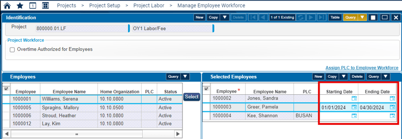 Deltek Costpoint Projects Time Expense
