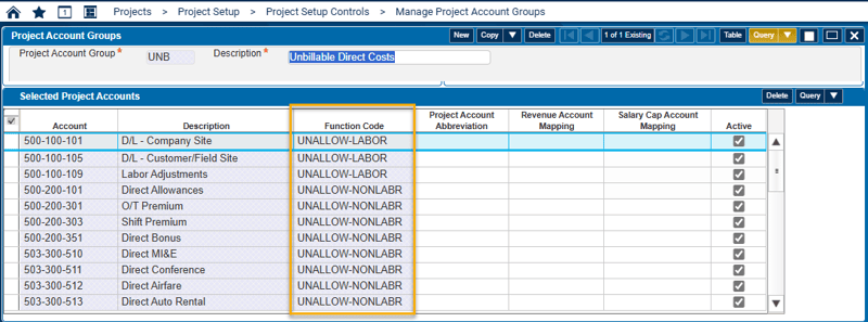 Deltek Costpoint Project Account Groups