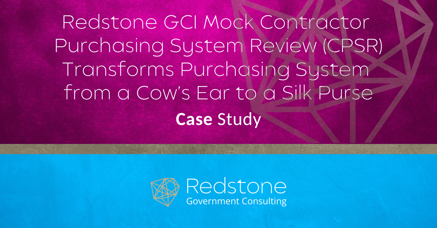 Contractor Purchasing System Review (CPSR) Case Study