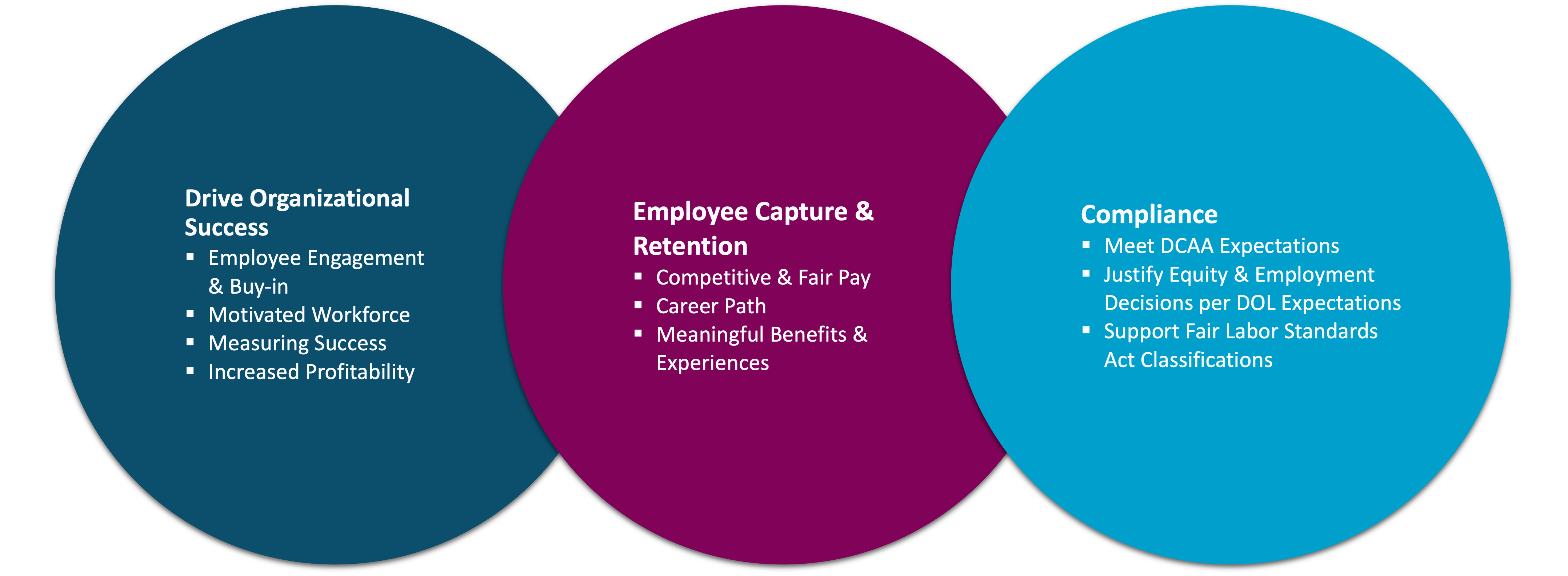 Why a Comprehensive Compensation Plan is Key to Driving Organizational Success